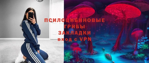 эйфоретик Зеленокумск