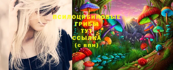 молекула духа Зеленодольск
