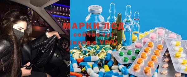 эйфоретик Зеленокумск