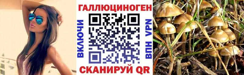 Псилоцибиновые грибы GOLDEN TEACHER  Череповец 