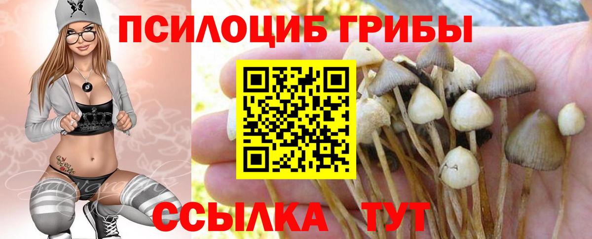 Галлюциногенные грибы мицелий Череповец